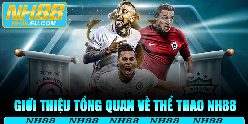 Giới thiệu tổng quan về thể thao NH88