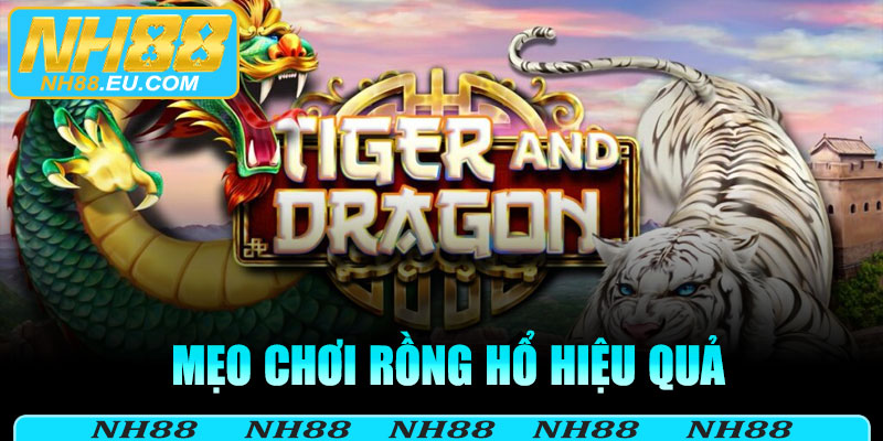 Mẹo chơi Rồng Hổ hiệu quả