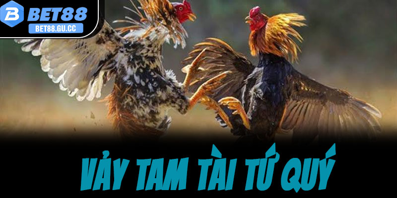 Vảy tam tài tứ quý là gì? Nhận diện đặc điểm cốt lõi